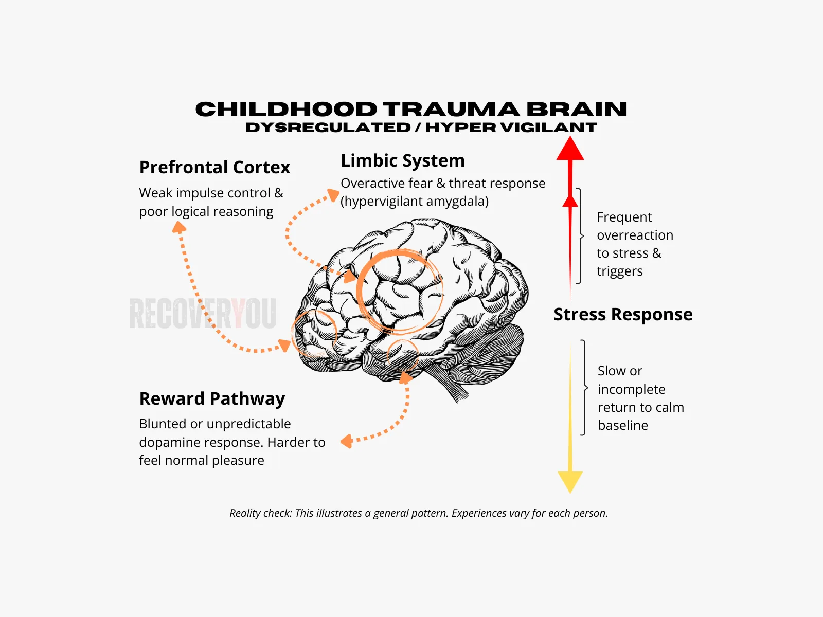 Childhood trauma and the brain