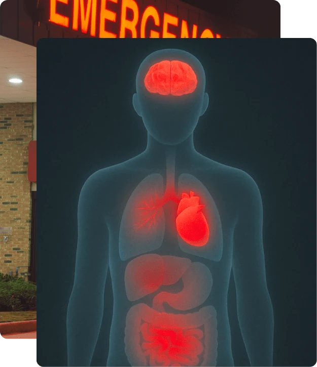 Illustration of organs affected by chronic stress